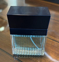 GUESS Guess Eau de Toilette Spray 3.4 fl oz Regular Size Fresh Scent