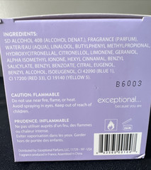 Exceptional Parfums Exceptional Because You Are You for Women 3.4oz – 100ml