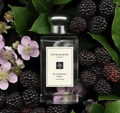$170 Authentic Jo Malone London Blackberry & Bay Cologne 100mL/3.4oz NIB