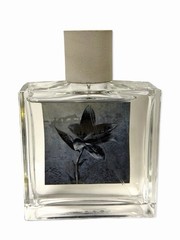 AllSaints Concrete Rain EDP 3.4oz/100ml Unisex Perfume No Box DISCONTINUED NEW