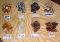 Resin Mix Sampler 8 Pack ~ 1oz Bags
