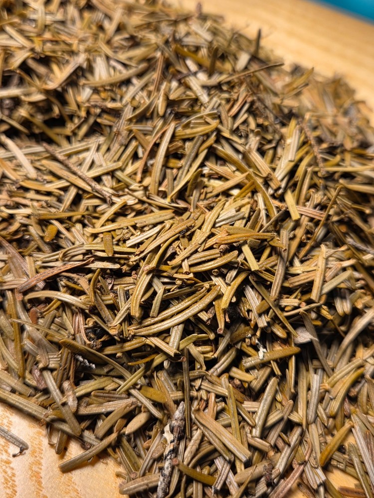 Dried Balsam Fir Needles ~ Abies Balsamea ~ United States