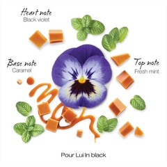 Mauboussin – Pour Lui In Black 100ml (3.3 Fl Oz) 3.3 Oz (Pack of 1),