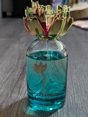 Disney Aladdin Jasmine Desert Dream frangrance 3.4 oz bottle NOT in box 75%