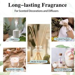 10ML Fragrance Oil Roll On Long Lasting Scent La Vie Est Belle Chance J’adore US