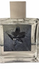 AllSaints Concrete Rain EDP 3.4oz/100ml Unisex Perfume No Box DISCONTINUED NEW