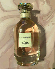 Coach Dreams Eau de Parfum Spray, Regular Size 3 fl oz Fragrance