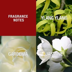 Paul Sebastian Design Perfume for Women, Day & Night Soft Floral Fragrance Sp…