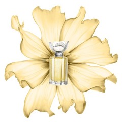 Oscar de la Renta Esprit D’Oscar Eau Parfum 3.3 Fl Oz (Pack of 1), Golden