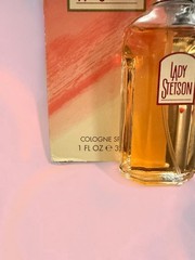 NIB~ Lady STETSON Cologne Spray 1 fl oz 30 mL Women by Coty