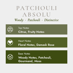 Mad Patchouli Absolu Men Eau de Parfum Intense 100ml Citrus Woody Gourmand