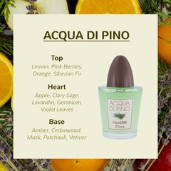 Acqua Di Pino Fougere By Pino Silvestre For Men – A Men’s Eau De Toilette