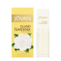 Jovan Musk for Women Perfume Oil 0.33 fl oz – Long Lasting Fragrance