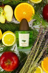 Acqua Di Pino Fougere By Pino Silvestre For Men – A Men’s Eau De Toilette