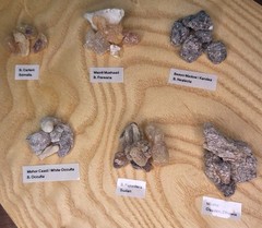 Frankincense Resin Mix Sampler 6 Pack ~ 1oz Bags