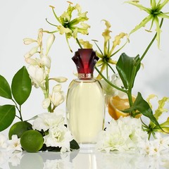 Paul Sebastian Design Perfume for Women, Day & Night Soft Floral Fragrance Sp…