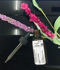 PHEROMONE LUST & ALLURING FRAGRANCES- EXTRAIT DE PARFUM BODY OILS 30ML/1OZ DR