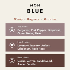 Mad Mon Blue Men Eau de Parfum 100ml Woody Aromatic Bergamot Long Lasting