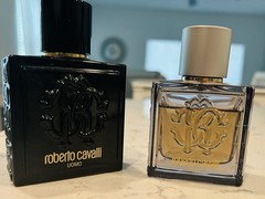 Roberto Cavalli Uomo 3.4 & Roberto Cavalli Uomo Silver 2.0 (both Discontinued)