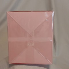 Vince Camuto Capri Eau de Parfum Spray, Regular Size 1.0 fl oz / 30 mL