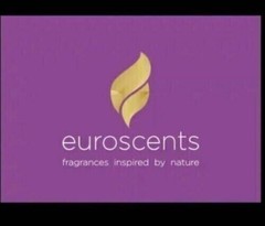 Euroscents BLACK AFGANO U GOLD Concentrated Oil 100 ML Liquid Form Perfume
