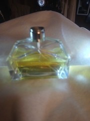 Ralph Lauren Pure Turquoise 75 ML 3/4 Full