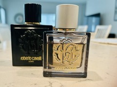 Roberto Cavalli Uomo 3.4 & Roberto Cavalli Uomo Silver 2.0 (both Discontinued)