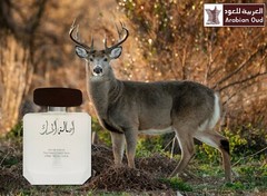 Asalat Al Musk by Arabian Oud 100ml Spray – Express Shipping