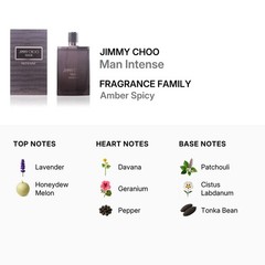 Jimmy Choo Man Intense by Jimmy Choo EDT Spray 3.3 oz (100 ml) (m)