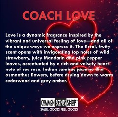 Coach Love TYPE Perfume Body Oil [Fragrance for Women] – Common Scents Shop