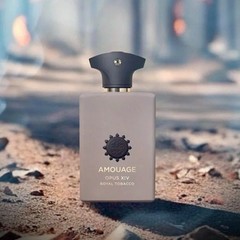 Men EDP 100ML Woody Aromatic Perfume Long Lasting Fragrance Spray