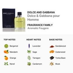Dolce and Gabbana/Dolce and Gabbana Edt Spray 6.7 Oz (M)
