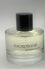 Exceptional Parfums Exceptional Because You Are Men 3.4 oz 100 ml EDT BRAND NEW