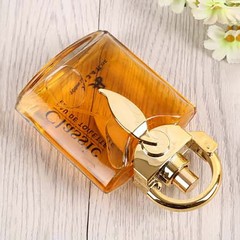 Long-lasting, Niche Perfume – 100ml
