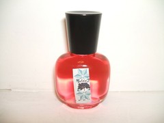 Zelda’s Egyptian Musk Perfume Oil .5oz Jeannie Style Glass Bottle Choose Scent