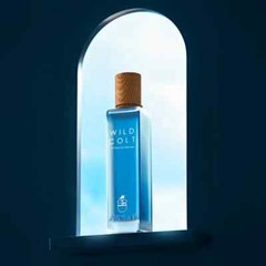 Wild Colt by Assaf Perfumes | 200ml EDP Spray | Fast Shipping