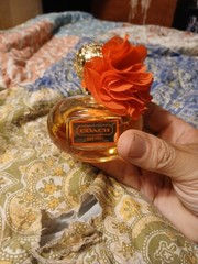 Coach perfume