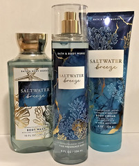 SALTWATER BREEZE fragrance mist + cream + body wash 3pc gift wrap Bath Body Work