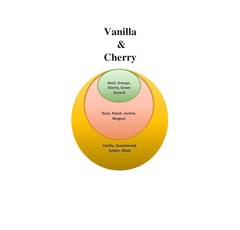 VANILLA & CHERRY / CHERRY VANILLA 1.7 FL OZ / 50 ML EAU DE PARFUM MADE IN USA