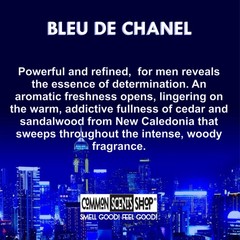 De Bleu TYPE Perfume Body Oil [Fragrance for Men] – Common Scents Shop