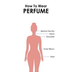 BN Pink Pour Femme Perfume For Women Long Lasting Eau de Parfum Luxury Perfume