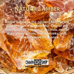 Natural Amber Perfume Body Oil [Unisex Fragrance Attar] – Common Scents Shop