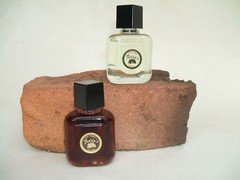 Zelda’s Perfume Oil Imported Bottle Egyptian Musk, Sandalwood, Rain, Pussy MORE