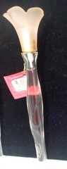 VTG Victoria Secret Enchanted Apple Cologne spray Garden collection 0.67 oz 9″