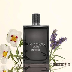 Jimmy Choo Man Intense 3.3 oz / 100 ml Eau de Toilette EDT Spray for Men New