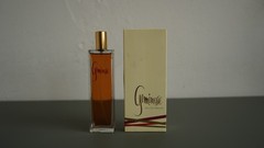 Geminesse by Prism Parfums Eau de Parfum 100ml Women’s Perfume