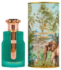 Serene Grove Lueur D’espoir by Emir Paris corner EDP Eau de Parfum – 100 ML