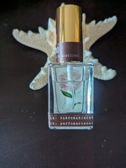 Margot Elena TOKYOMILK Wild Whims 80 Full Size 1 oz 29.5 ml NWOB