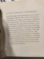 Nest New York Santa Barbara Strawberry Perfume Oil Bundle