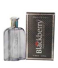 ST. LOUIS BLACKBERRY APPAREL PARFUM FOR MEN & WOMEN WITH FREE SHIPPING – 100 ML
